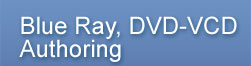 Blue Ray, DVD-VCD Authorising